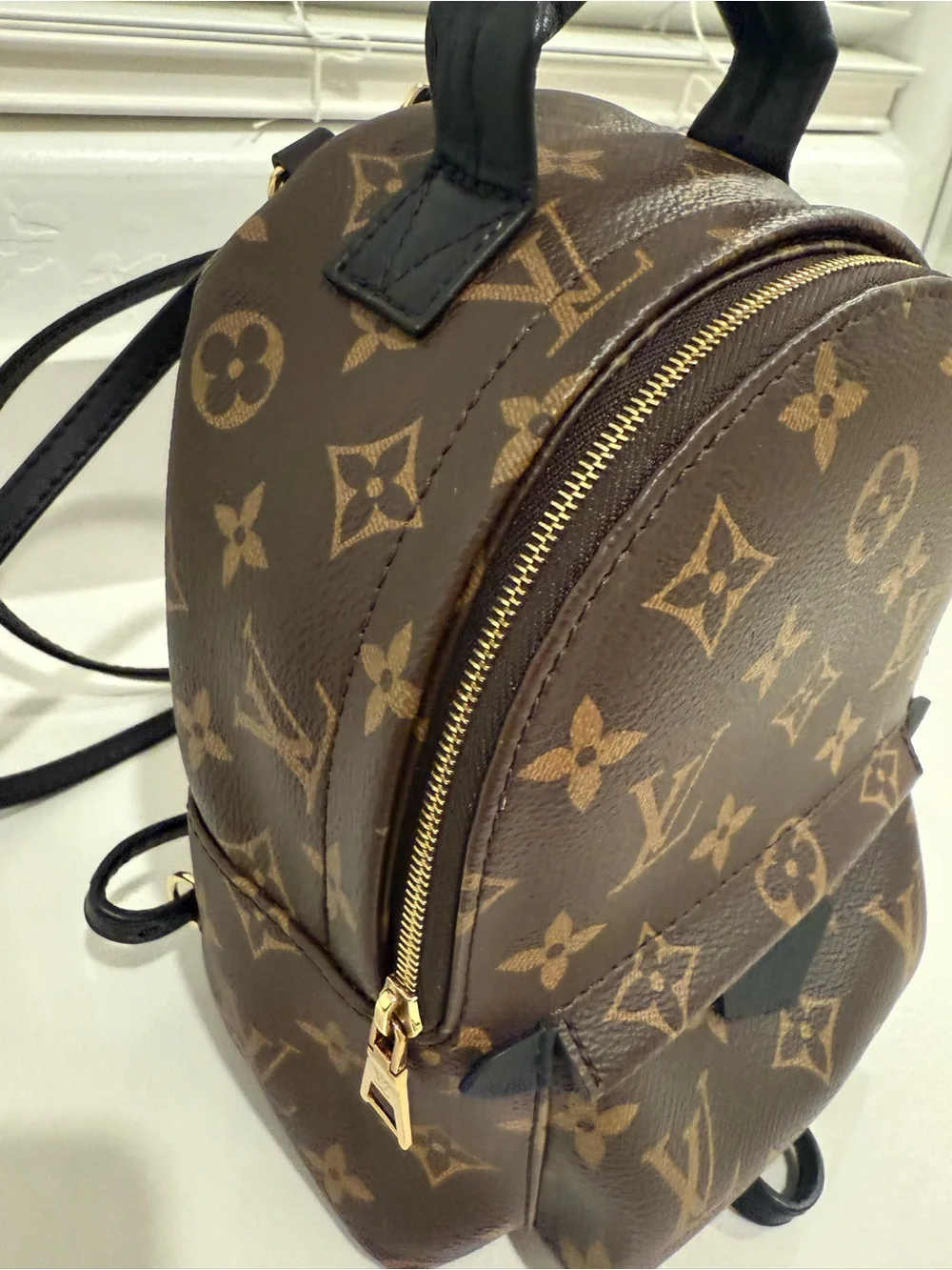 Louis Vuitton Palm Springs Mini Backpack